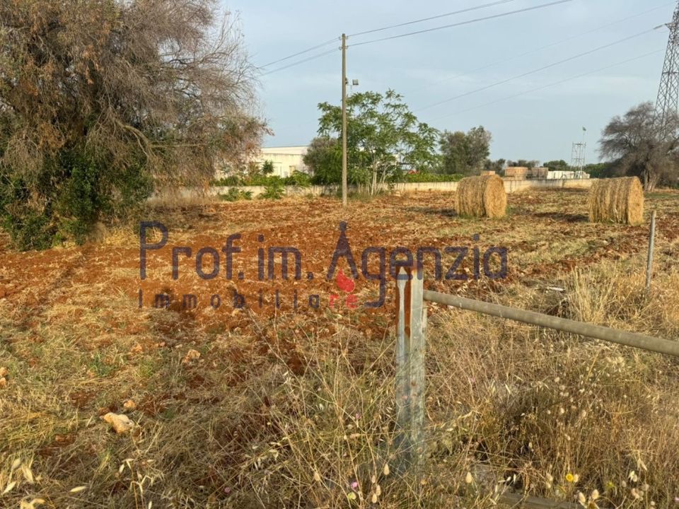 Helårsgrund i Carovigno, Brindisi - foto 1
